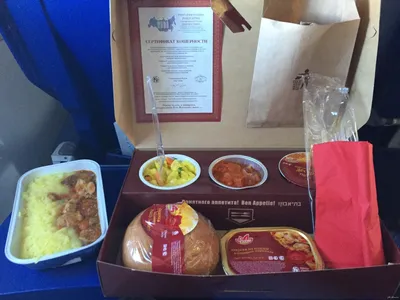 Заказывайте кошерное питание в самолете | Пикабу