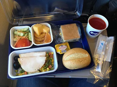 Обед в самолете Летная еда эконом-класса на подносе Редакционное  Изображение - изображение насчитывающей полет, плита: 114861275