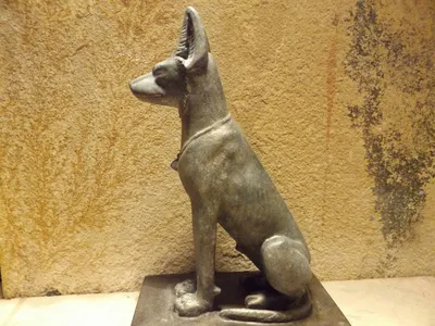 Древний Египет. Мифология и культ собаки | Записки кинолога | Дзен