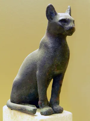 Животные дома Египетский кот Mau Стоковое Изображение - изображение  насчитывающей культура, ангстрома: 45247171