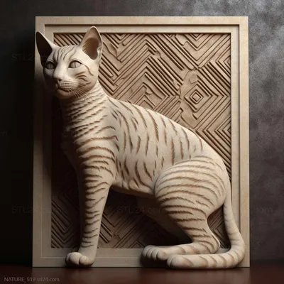 Египетский сфинкс порода кошек - 67 фото