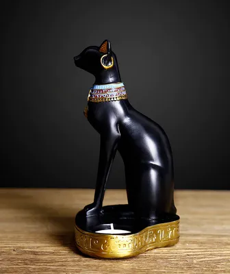 Молодой Египетский Кот Мау Лучший Из Лучших На Международной Выставке Кошек  — стоковые фотографии и другие картинки Без людей - iStock