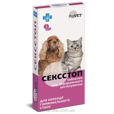 Эндометрит у кошки - лечение, диагностика | Ветклиника Берлога