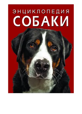 Книга «Енциклопедія. Собаки» – Дмитрий Турбанист, купить по цене 413 на  YAKABOO: 978-617-547-106-7