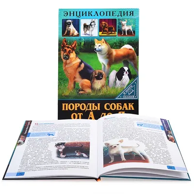 Купить Энциклопедия дошкольника Собаки. Ранок С614035У недорого