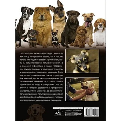 Собаки и щенки. Детская энциклопедия – купить по лучшей цене на сайте  издательства Росмэн
