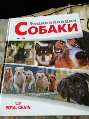 Все породы собак. Большая иллюстрированная энциклопедия - купить книги о  животных в интернет-магазинах, цены на Мегамаркет |