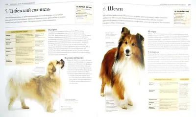 Большая энциклопедия. Собаки — купить в Эстонии | Доставка по Европе