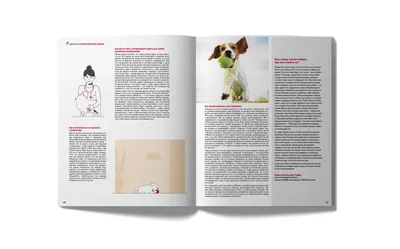 Собаки и щенки. Детская энциклопедия – Книжный интернет-магазин Kniga.lv  Polaris