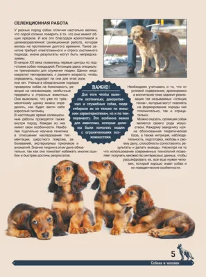 Купить: «Все-все-все про собак» интерактивная энциклопедия на русском.  Е.Беляева,Л.Еремина