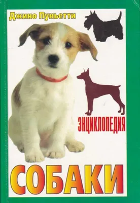 Подборка Книг про Собак. Энциклопедии и Художественные книги. | Gorilla  Geek 1.0 - Aleks Klion | Дзен