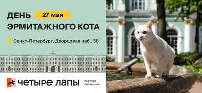 🐈ЭРМИТАЖНЫЕ КОТЫ, Эрмики или квалифицированные специалисты по очистке  музейных подвалов от крыс | ВКонтакте