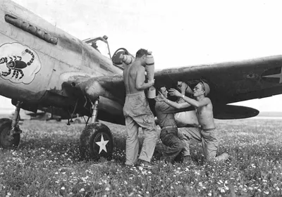 Фото \"Первый сбитый самолет фашистов над Киевом\", 1941 год - История России  в фотографиях