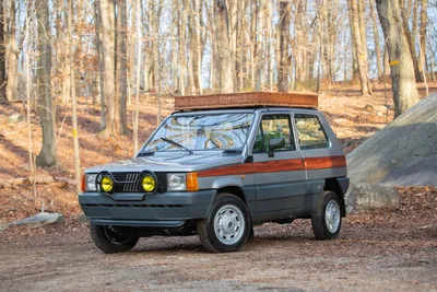1985 Fiat Panda 4x4 \"Pand'Agnelli\" for Sale | The Cultivated Collector