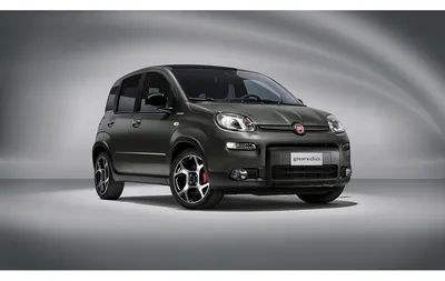 The New Panda is coming... celebrating its first 40 years! | Fiat |  Stellantis