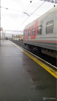 Vse42.ru - Более 30 прибывших в Кузбасс поездом пассажиров отправились на  самоизоляцию по коронавирусу В четверг, 9 апреля, в столицу Кемеровской  области прибыл фирменный поезд, курсирующий по маршруту Кемерово – Москва –