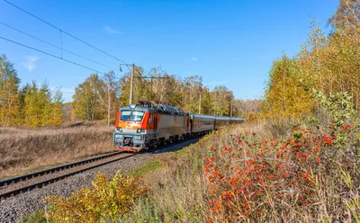 Ярославский фирменный поезд стал популярным - YarNews.net
