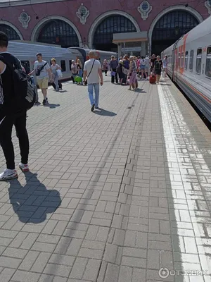 Поезд «Премиум» Новороссийск - Москва расписание билеты цена