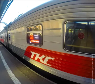 Честный обзор фирменного поезда \"Волга\" из Санкт-Петербурга в Нижний  Новгород