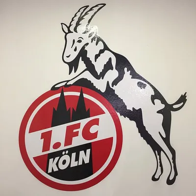 ФК Кёльн: картинки для поддержки любимого клуба