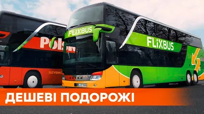 FlixBus открыл новый маршрут с Медыки в Роттердам - Покупки в Польше