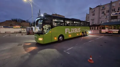 Flixbus будет бесплатно перевозить украинцев от польской границы - Покупки  в Польше