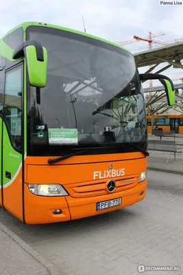 Туристический автобус Dickie Toys Flixbus (3744015) купить в интернет  магазине с доставкой по Украине | MYplay