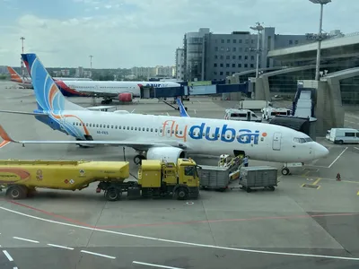 flydubai представляет свой первый самолет Boeing 737 MAX 8 на Дубайском  Авиашоу | пресс-релизы на Турпроме