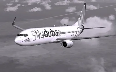 Модель самолета металлическая авиакомпания Flydubai - купить в  интернет-магазине OZON по выгодной цене (941109264)