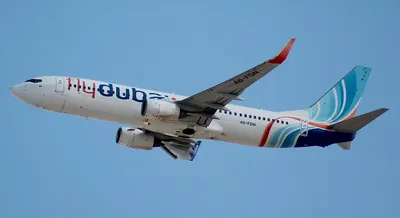 Чем известна авиакомпания Flydubai?