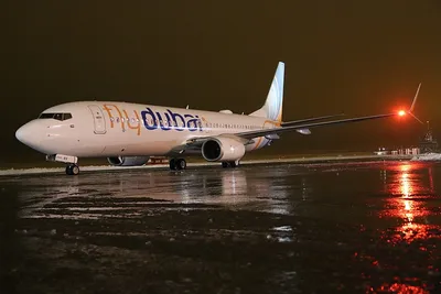 Авиакомпания Flydubai не разглашает причину возвращения самолета в Ташкент  - Новости Узбекистана сегодня: nuz.uz