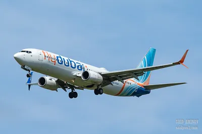 Авиакомпания Flydubai (Флайдубай) - «Авиакомпания Fly Dubai: бюджетно и  довольно комфортно. Включено ли питание в стоимость билета? Плюсы/ минусы,  ПОПУЛЯРНЫЕ направления. !! Теперь открыты рейсы и в Москву! ФОТО меню и  салона +