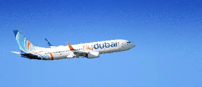 Авиакомпания Flydubai (Флайдубай) - «Полёт в Шри-Ланку с авиакомпанией  Flydubai (Флайдубай). Что понравилось и не понравилось во время перелёта? +  ФОТО салона самолета и не только.» | отзывы