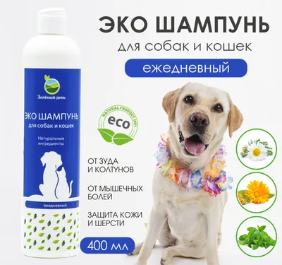 CitoDerm капли дерматологические для собак 30–60 кг, 4 пипетки ✓ товары для  животных Neoterica GmbH (Неотерика)