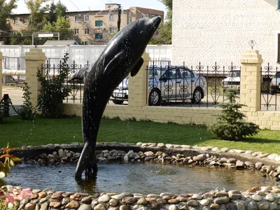Фонтанчик с черным дельфином - 77 фото
