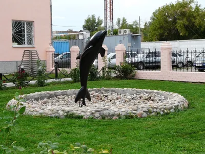 оренбург тюрьма фонтан с черный дельфин｜Búsqueda de TikTok