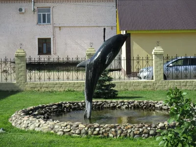 А есть под Оренбургом фонтанчик с черным дельфином И в жизни видеть лишь  раз его доводилось Всем.. | ВКонтакте