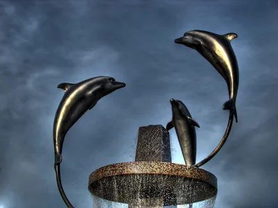 Черный дельфин» тюрьма: самое страшное место в России, которое может  увидеть человек - BELARUSTIME