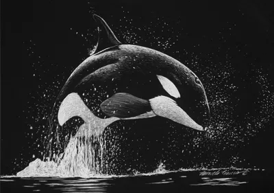 ручная резьба сад камень дельфин воды фонтан черный мрамор дельфин фонтаны|  Alibaba.com