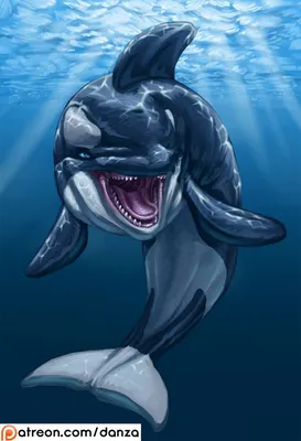 Черный Дельфин арт - 63 фото