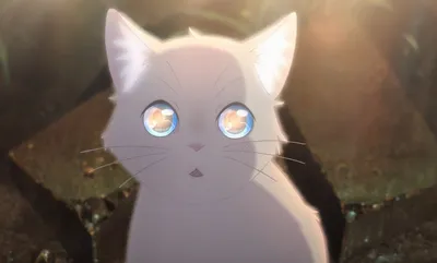5 аниме, где одним из главных персонажей является кошка/кот! |  Executer_anime | Дзен