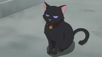 Говорящие кошки в аниме. Большой список | Crunchyroll | Дзен