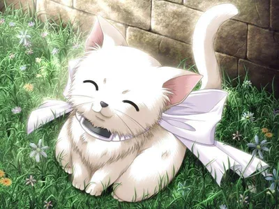 Скачать картинку на телефон: Аниме, Кошки (Коты, Котики), бесплатно. 30399.  | Chat d'anime, Animation animaux, Chat