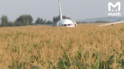 В аэропорту Одессы отменены все рейсы из-за аварии самолета - АЗЕРТАДЖ