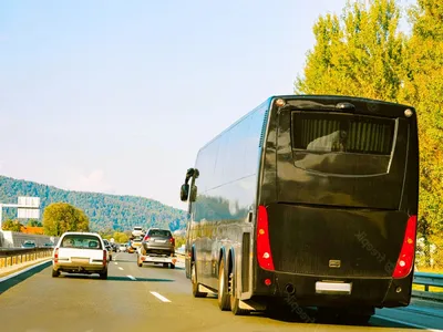 Людей перевозите, а не скот»: пассажиры возмущены ситуацией в автобусе -  PortoFranko