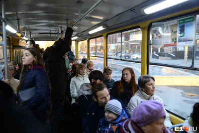 🤬 «Водитель этого автобуса вёз людей до Квадро, а потом внезапно встал.  Люди спросили, почему он не едет , на что он.. | ВКонтакте