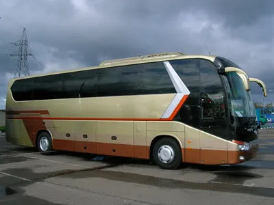 Нанять автобус для перевозки людей. Цена на заказ автобусов для перевозки  людей в Москве.