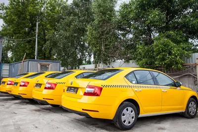 Минэк и ФАС считают преждевременным законопроект об обязательной  локализации автомобилей для такси - Российская газета