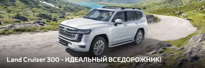 15 автомобилей, от которых не хотят избавляться владельцы - Российская  газета