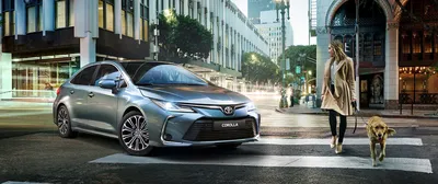 Toyota возродит легендарный внедорожник — Motor